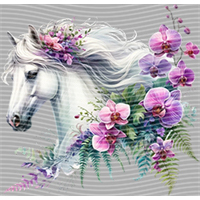 Animal Integration-DW 613